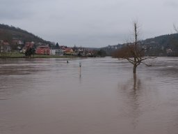 Hochwasser Wertheim 2011